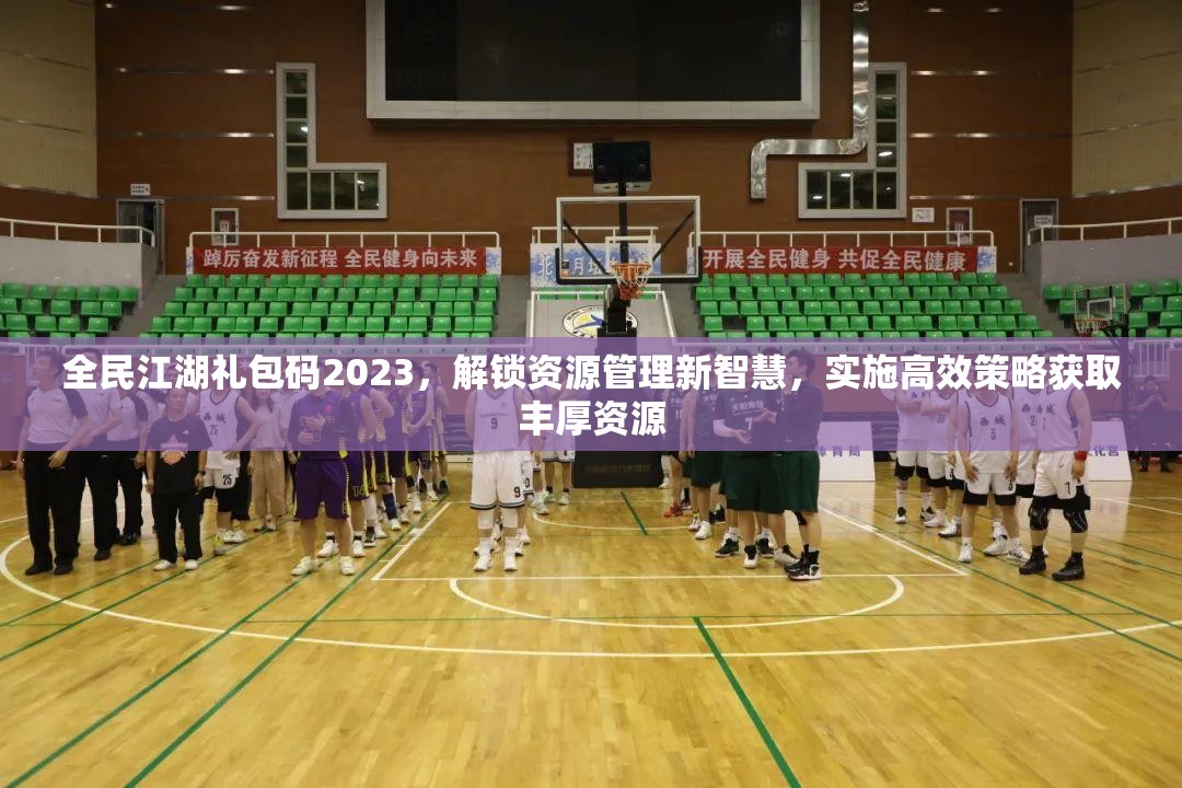 全民江湖禮包碼2023，解鎖資源管理新智慧，實施高效策略獲取豐厚資源
