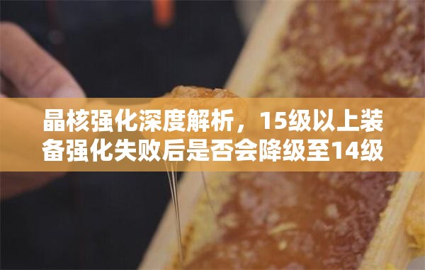晶核強化深度解析，15級以上裝備強化失敗后是否會降級至14級真相揭秘