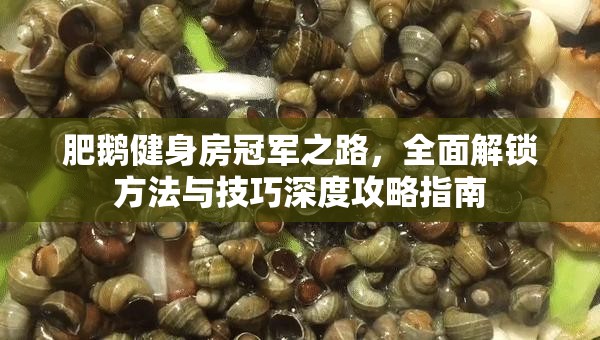 肥鵝健身房冠軍之路，全面解鎖方法與技巧深度攻略指南