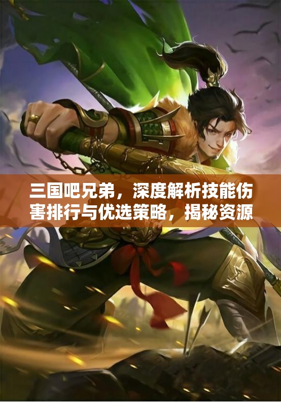三國吧兄弟，深度解析技能傷害排行與優(yōu)選策略，揭秘資源管理的高效藝術(shù)