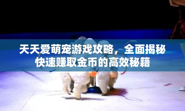 天天愛萌寵游戲攻略，全面揭秘快速賺取金幣的高效秘籍