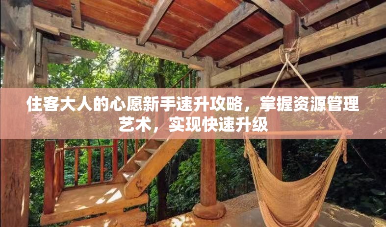 住客大人的心愿新手速升攻略，掌握資源管理藝術(shù)，實(shí)現(xiàn)快速升級(jí)