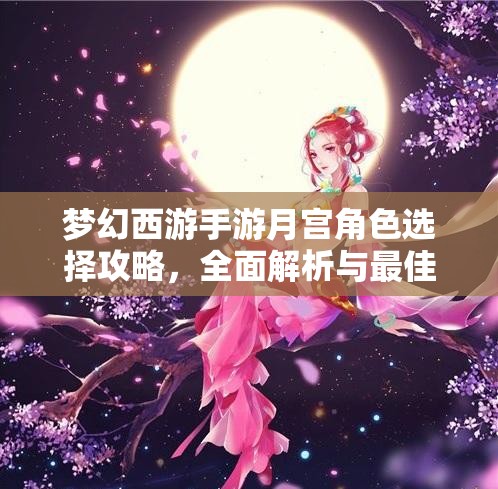 夢(mèng)幻西游手游月宮角色選擇攻略，全面解析與最佳角色推薦大揭秘