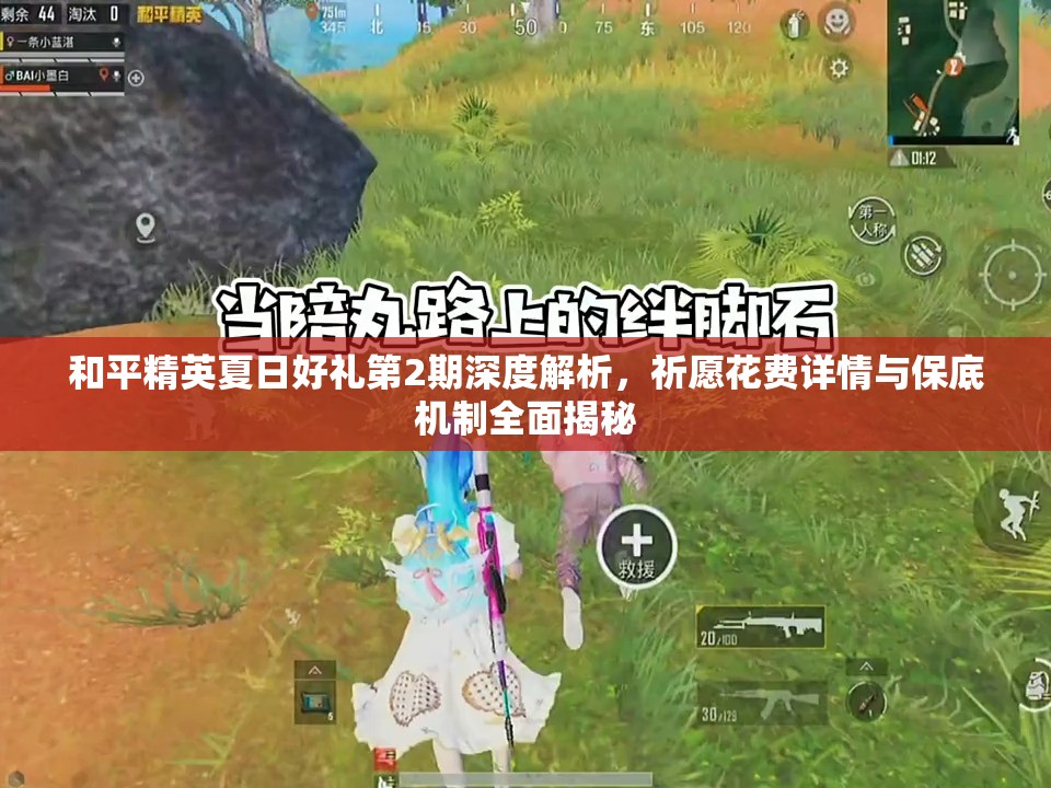 和平精英夏日好禮第2期深度解析，祈愿花費詳情與保底機制全面揭秘