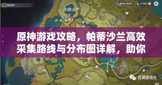 原神游戲攻略，帕蒂沙蘭高效采集路線與分布圖詳解，助你優(yōu)化資源管理策略