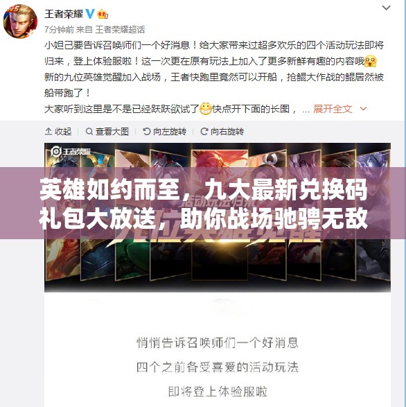 英雄如約而至，九大最新兌換碼禮包大放送，助你戰(zhàn)場(chǎng)馳騁無敵手！