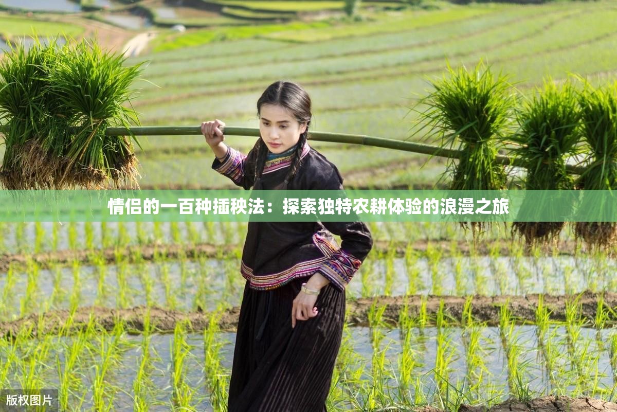 情侶的一百種插秧法：探索獨特農(nóng)耕體驗的浪漫之旅