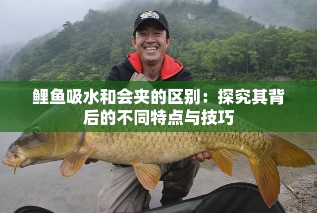 鯉魚(yú)吸水和會(huì)夾的區(qū)別：探究其背后的不同特點(diǎn)與技巧