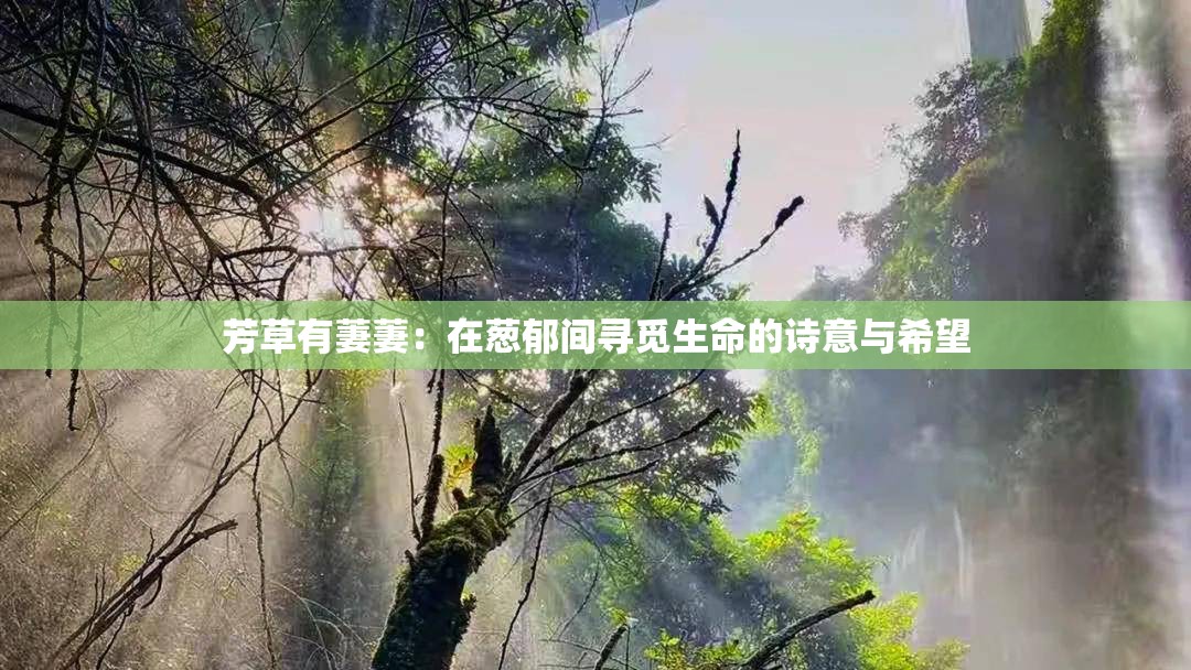 芳草有萋萋：在蔥郁間尋覓生命的詩(shī)意與希望