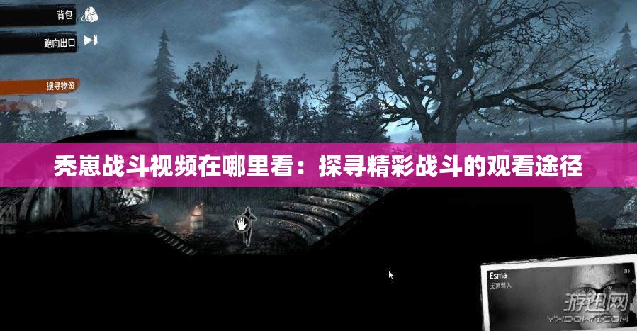 禿崽戰(zhàn)斗視頻在哪里看：探尋精彩戰(zhàn)斗的觀看途徑