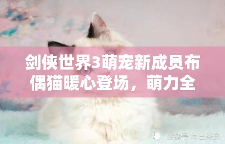劍俠世界3萌寵新成員布偶貓暖心登場，萌力全開陪伴玩家闖蕩江湖