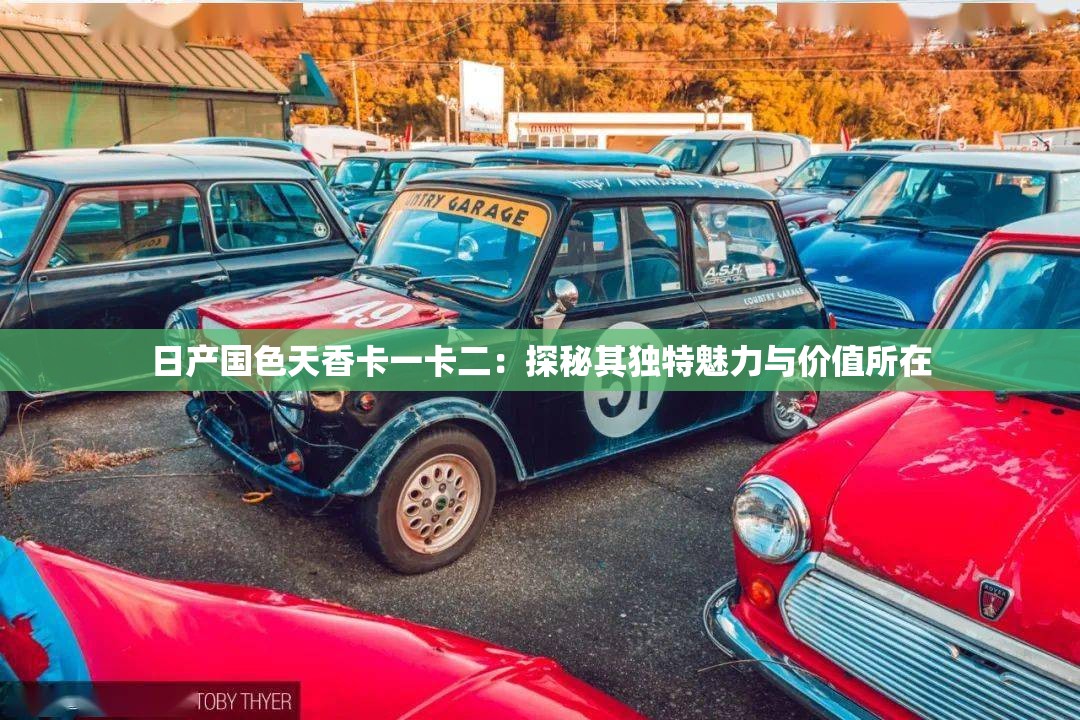 日產(chǎn)國色天香卡一卡二：探秘其獨(dú)特魅力與價(jià)值所在