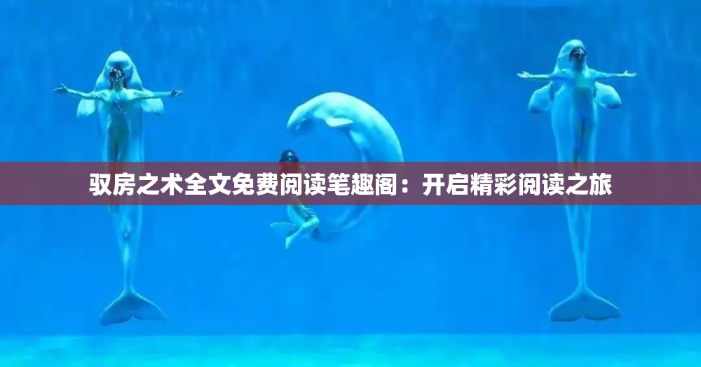 馭房之術(shù)全文免費閱讀筆趣閣：開啟精彩閱讀之旅