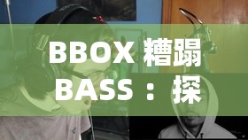 BBOX 糟蹋 BASS ：探尋其背后不為人知的原因與影響