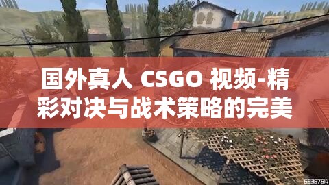 國(guó)外真人 CSGO 視頻-精彩對(duì)決與戰(zhàn)術(shù)策略的完美展現(xiàn)