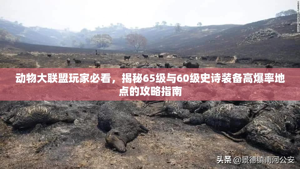 動物大聯(lián)盟玩家必看，揭秘65級與60級史詩裝備高爆率地點的攻略指南