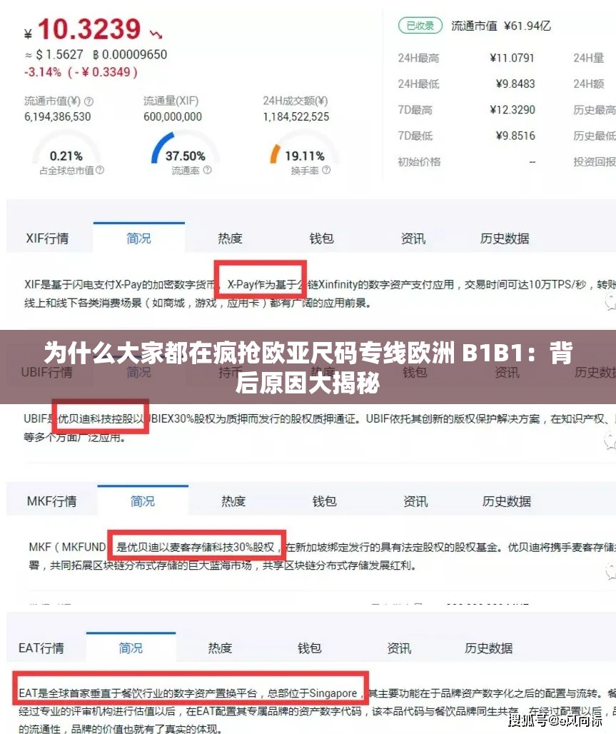 為什么大家都在瘋搶歐亞尺碼專線歐洲 B1B1：背后原因大揭秘