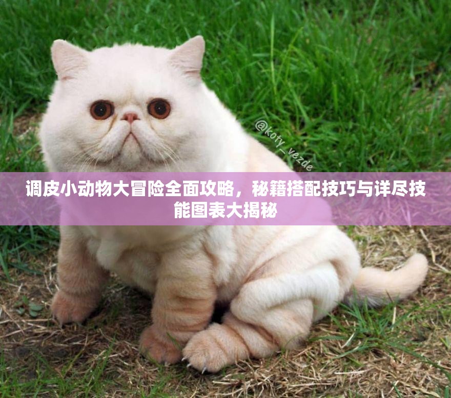 調(diào)皮小動物大冒險全面攻略，秘籍搭配技巧與詳盡技能圖表大揭秘