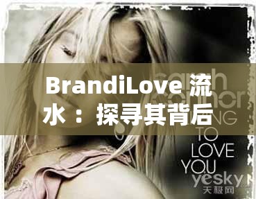 BrandiLove 流水 ：探尋其背后不為人知的魅力與故事