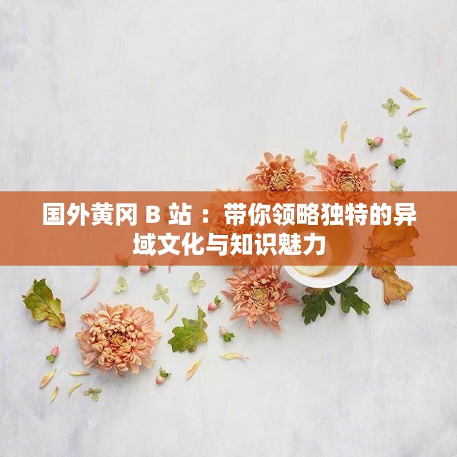國外黃岡 B 站 ：帶你領(lǐng)略獨(dú)特的異域文化與知識(shí)魅力