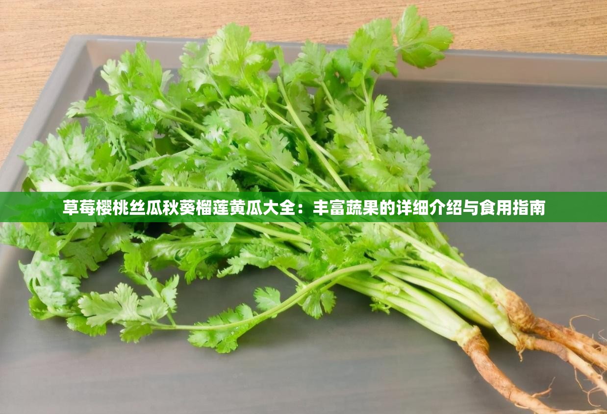 草莓櫻桃絲瓜秋葵榴蓮黃瓜大全：豐富蔬果的詳細(xì)介紹與食用指南