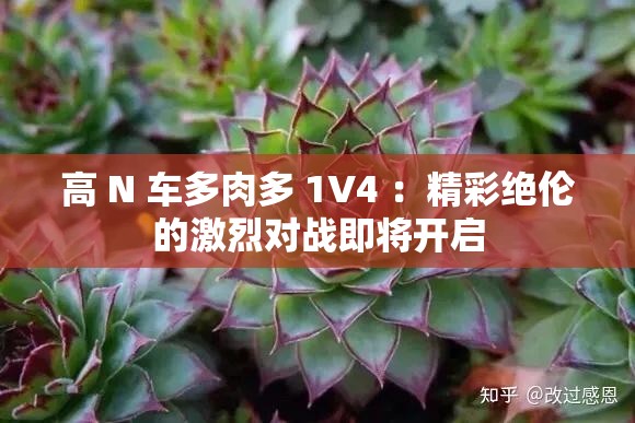 高 N 車多肉多 1V4 ：精彩絕倫的激烈對戰(zhàn)即將開啟