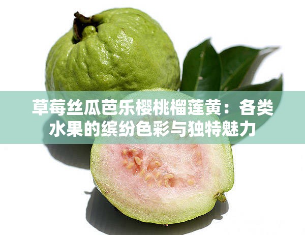 草莓絲瓜芭樂櫻桃榴蓮黃：各類水果的繽紛色彩與獨(dú)特魅力