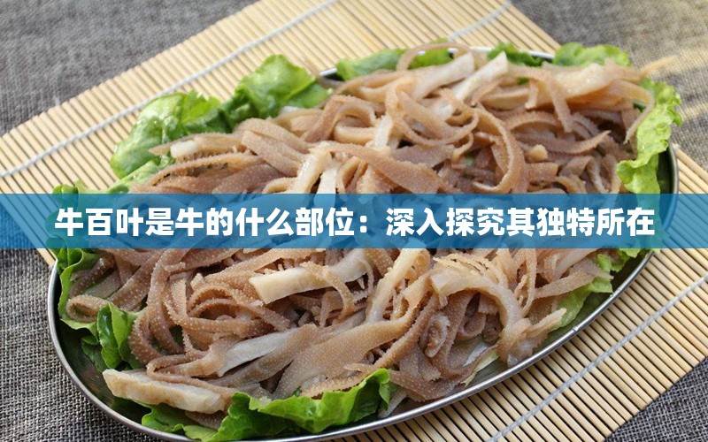 牛百葉是牛的什么部位：深入探究其獨(dú)特所在