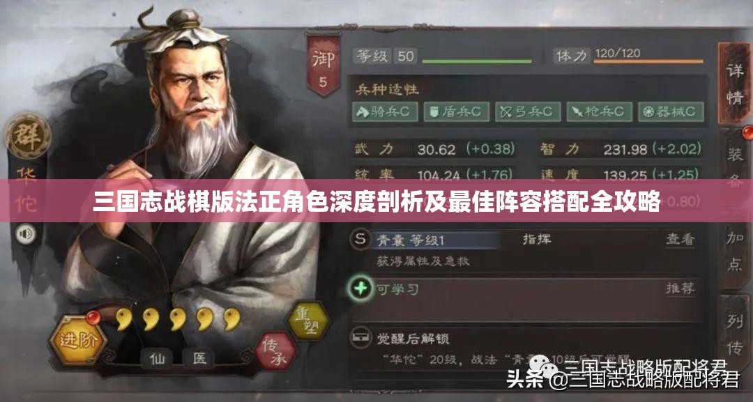 三國志戰(zhàn)棋版法正角色深度剖析及最佳陣容搭配全攻略