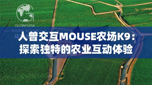 人曾交互MOUSE農(nóng)場K9：探索獨特的農(nóng)業(yè)互動體驗之旅