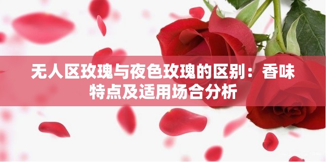 無人區(qū)玫瑰與夜色玫瑰的區(qū)別：香味特點(diǎn)及適用場(chǎng)合分析