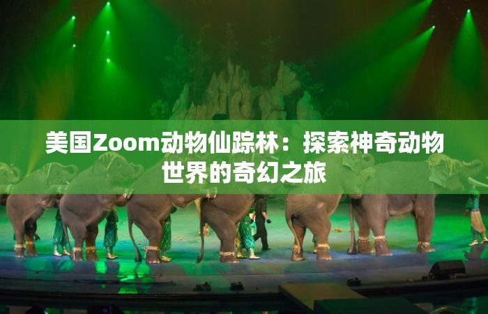 美國Zoom動(dòng)物仙蹤林：探索神奇動(dòng)物世界的奇幻之旅