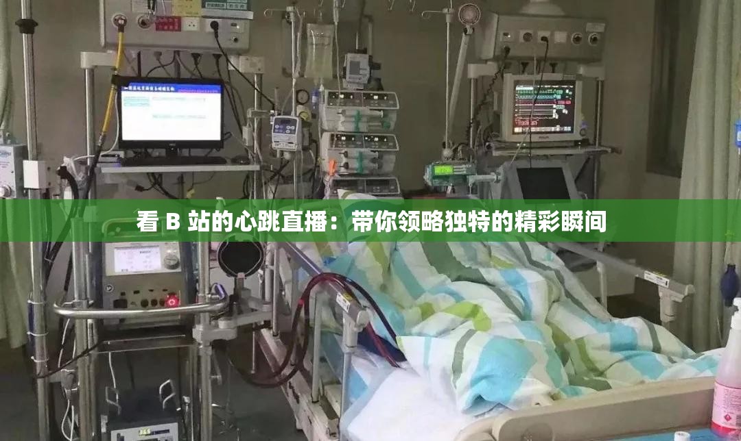 看 B 站的心跳直播：帶你領(lǐng)略獨(dú)特的精彩瞬間
