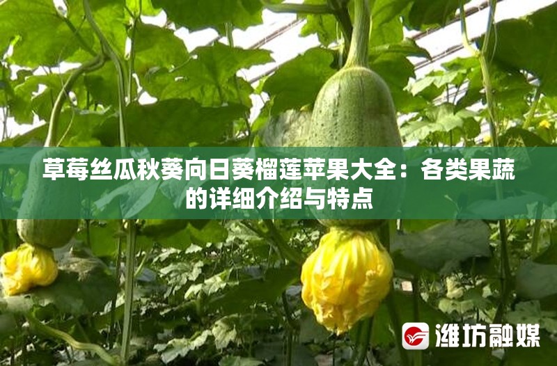 草莓絲瓜秋葵向日葵榴蓮蘋(píng)果大全：各類果蔬的詳細(xì)介紹與特點(diǎn)