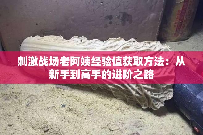 刺激戰(zhàn)場(chǎng)老阿姨經(jīng)驗(yàn)值獲取方法：從新手到高手的進(jìn)階之路