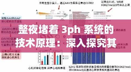 整夜堵著 3ph 系統(tǒng)的技術(shù)原理：深入探究其內(nèi)在機(jī)制與應(yīng)用前景