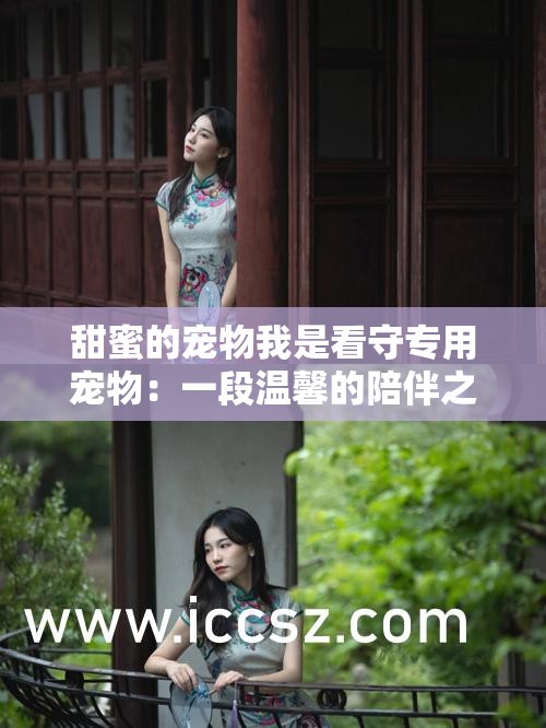 甜蜜的寵物我是看守專用寵物：一段溫馨的陪伴之旅
