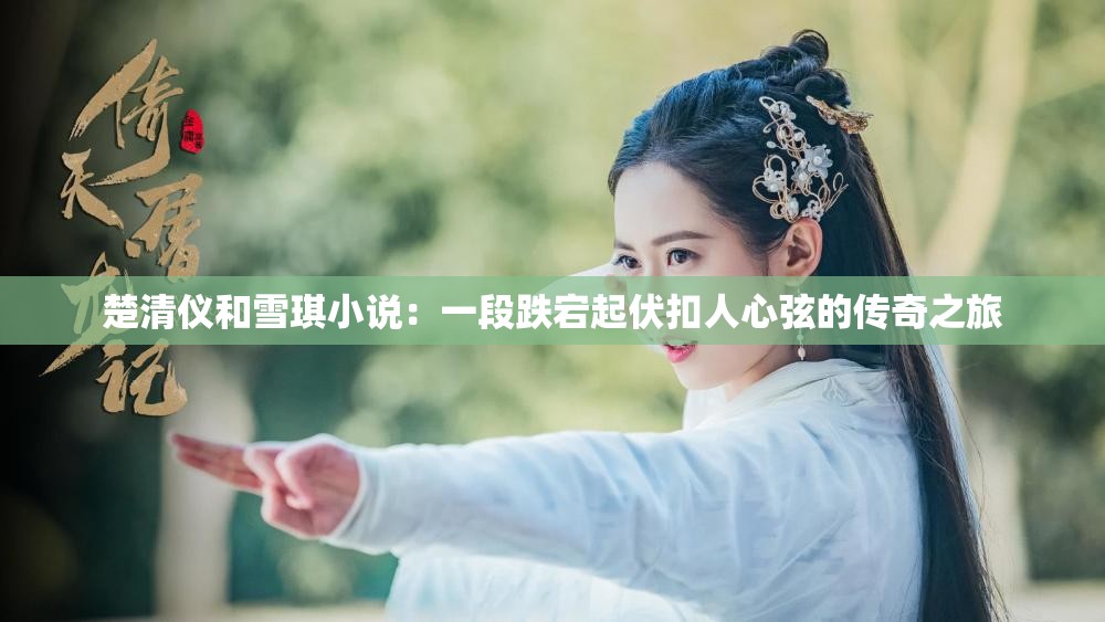 楚清儀和雪琪小說：一段跌宕起伏扣人心弦的傳奇之旅