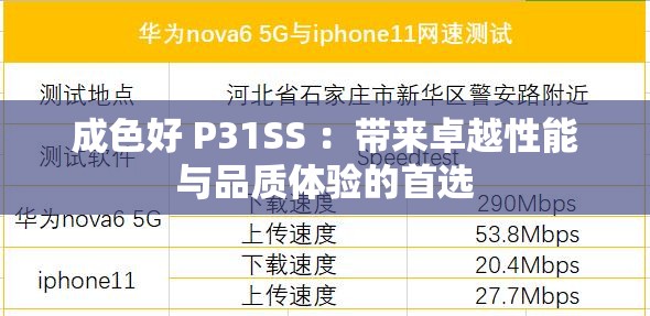 成色好 P31SS ：帶來卓越性能與品質(zhì)體驗(yàn)的首選