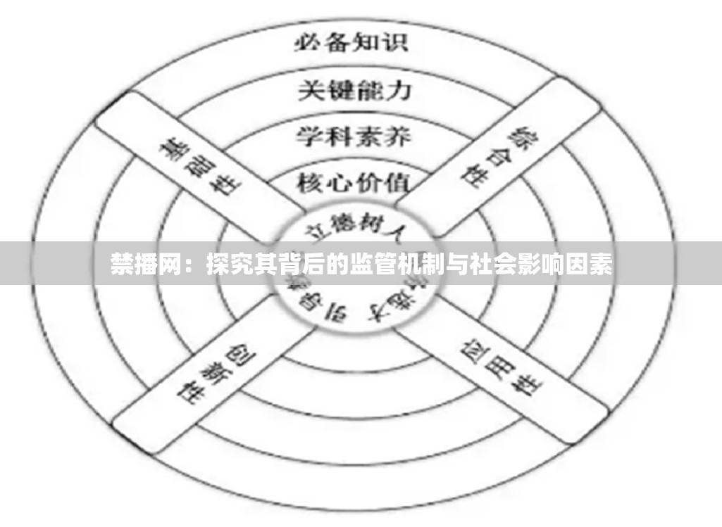 禁播網(wǎng)：探究其背后的監(jiān)管機制與社會影響因素