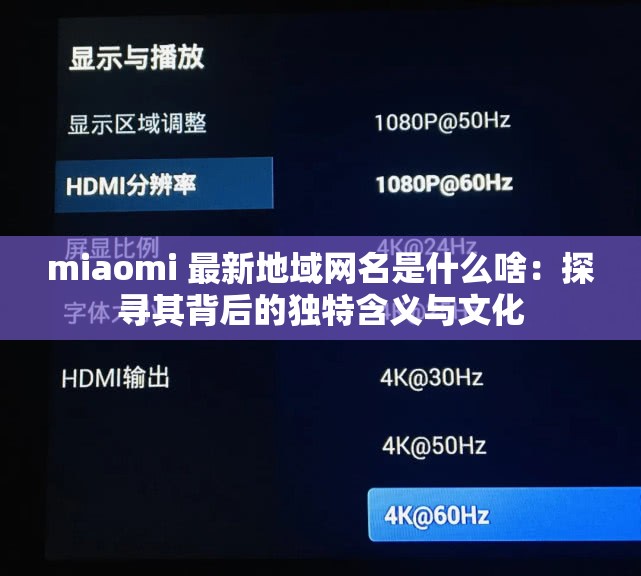 miaomi 最新地域網(wǎng)名是什么啥：探尋其背后的獨特含義與文化