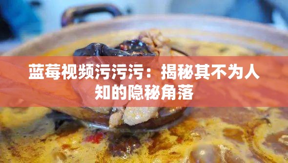 藍莓視頻污污污：揭秘其不為人知的隱秘角落