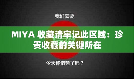 MIYA 收藏請牢記此區(qū)域：珍貴收藏的關鍵所在