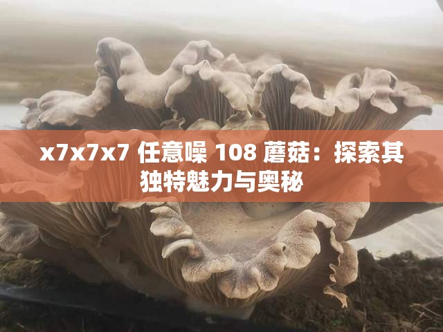 x7x7x7 任意噪 108 蘑菇：探索其獨(dú)特魅力與奧秘
