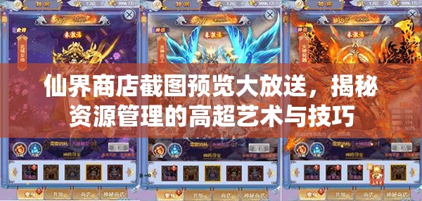 仙界商店截圖預(yù)覽大放送，揭秘資源管理的高超藝術(shù)與技巧