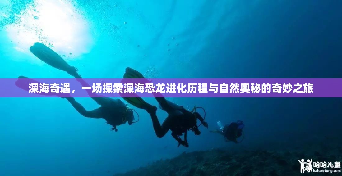 深海奇遇，一場(chǎng)探索深?？铸堖M(jìn)化歷程與自然奧秘的奇妙之旅