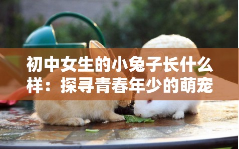 初中女生的小兔子長什么樣：探尋青春年少的萌寵模樣