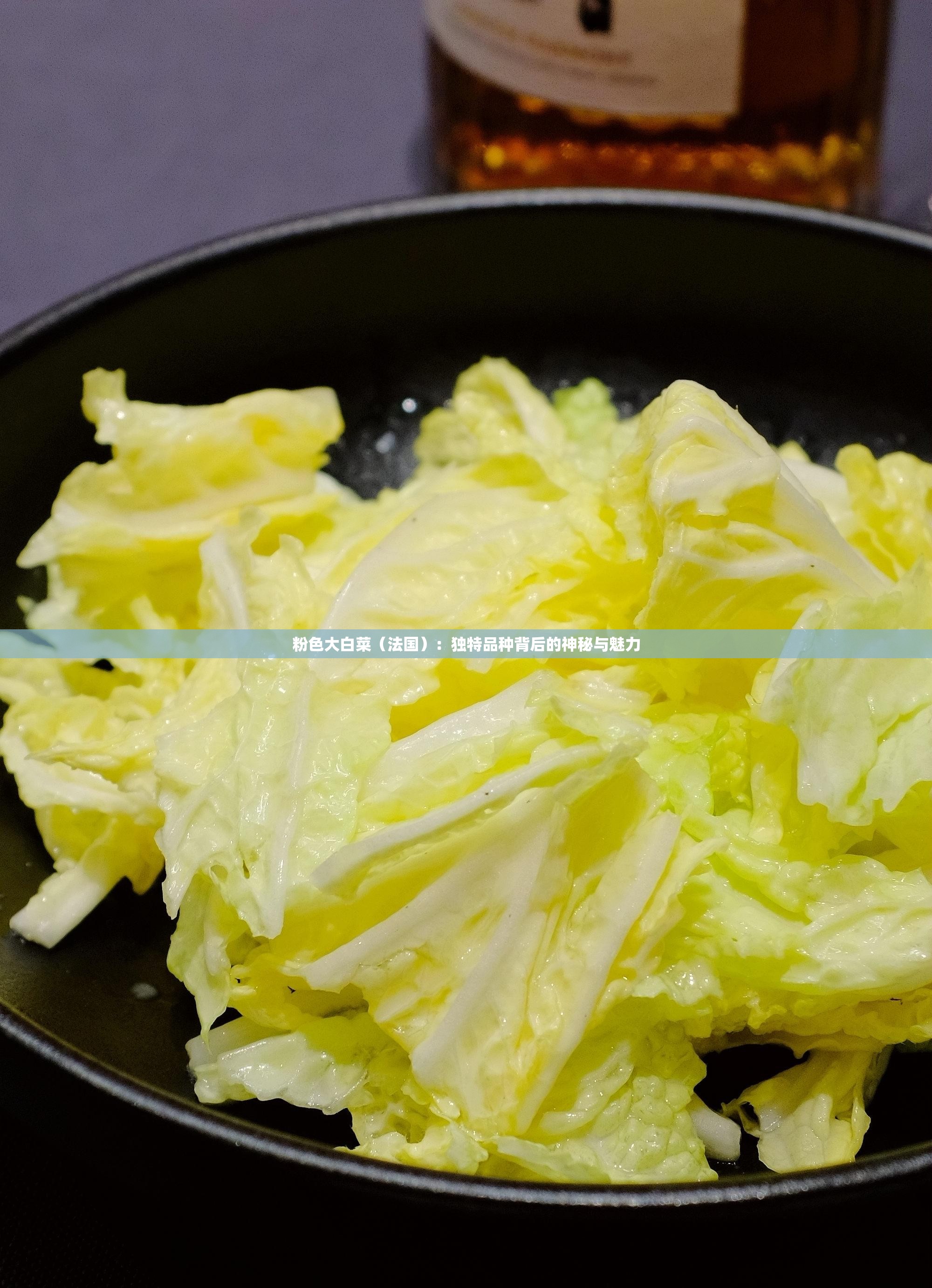 粉色大白菜（法國）：獨特品種背后的神秘與魅力
