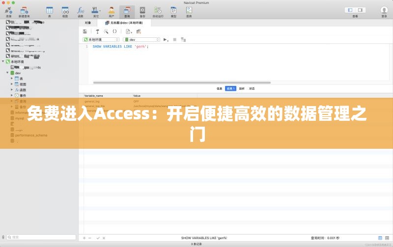 免費進(jìn)入Access：開啟便捷高效的數(shù)據(jù)管理之門
