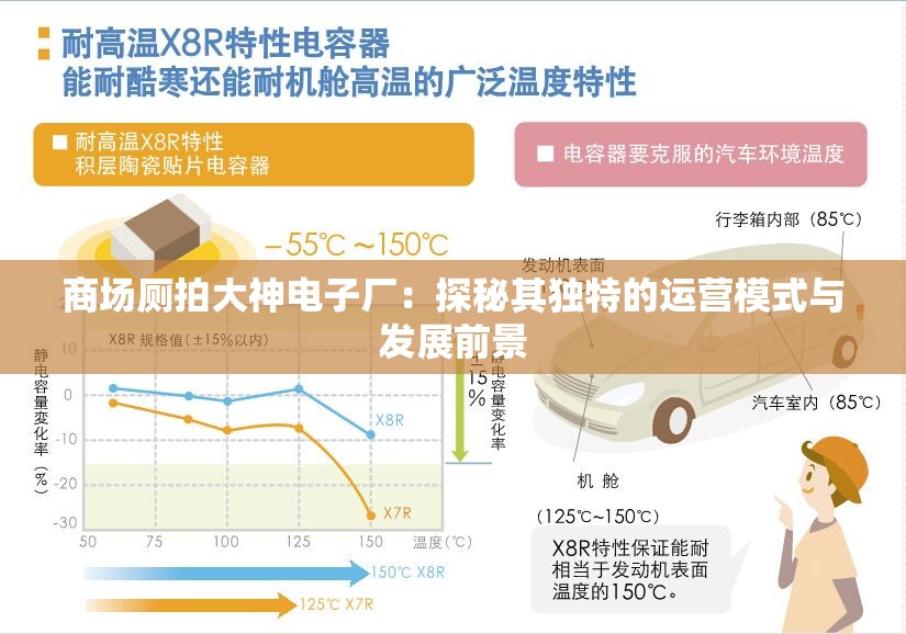 商場廁拍大神電子廠：探秘其獨特的運營模式與發(fā)展前景